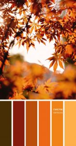 پالت رنگ های پاییزی, ست کردن رنگ ها 
